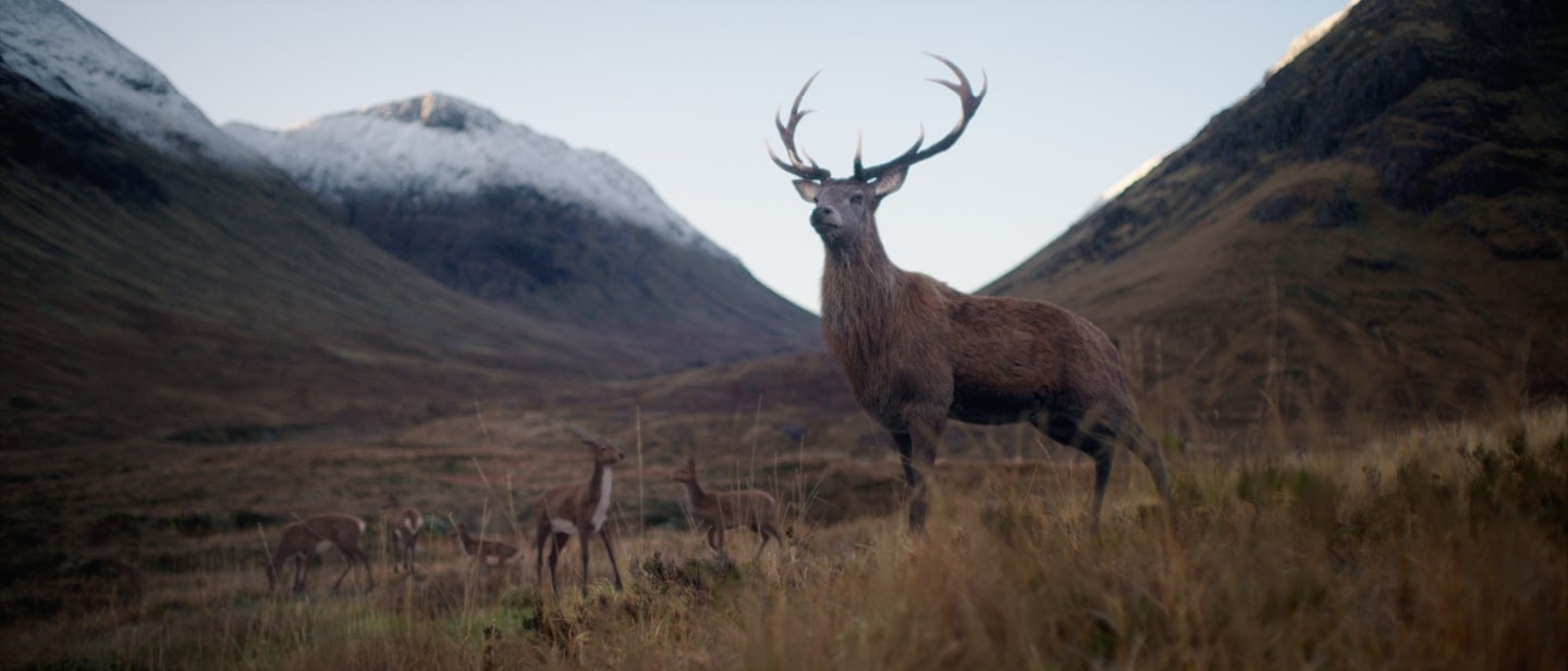Where next? - Glenfiddich - Philippe Andre
