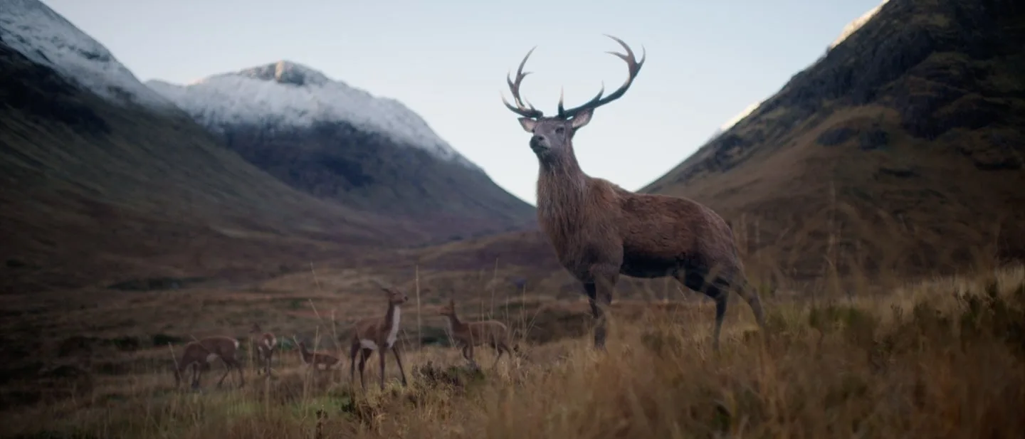 Where next? - Glenfiddich - Philippe Andre