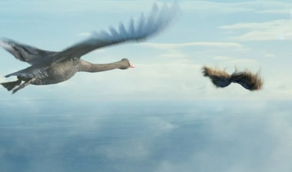 Virgin Australia - Up,Up Toupee